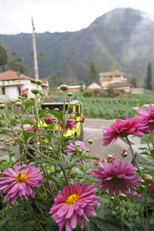 Homestay Lereng 布罗莫 外观 照片